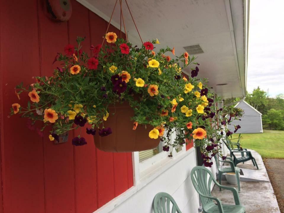 Webbers Lake Charlotte Motel Queen And Double Bed Exterior foto